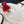 Azur Lane | Vanguard Soft Blanket | Summer Supply 2022