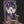 Azur Lane | Acrylic Zodiac Calendar